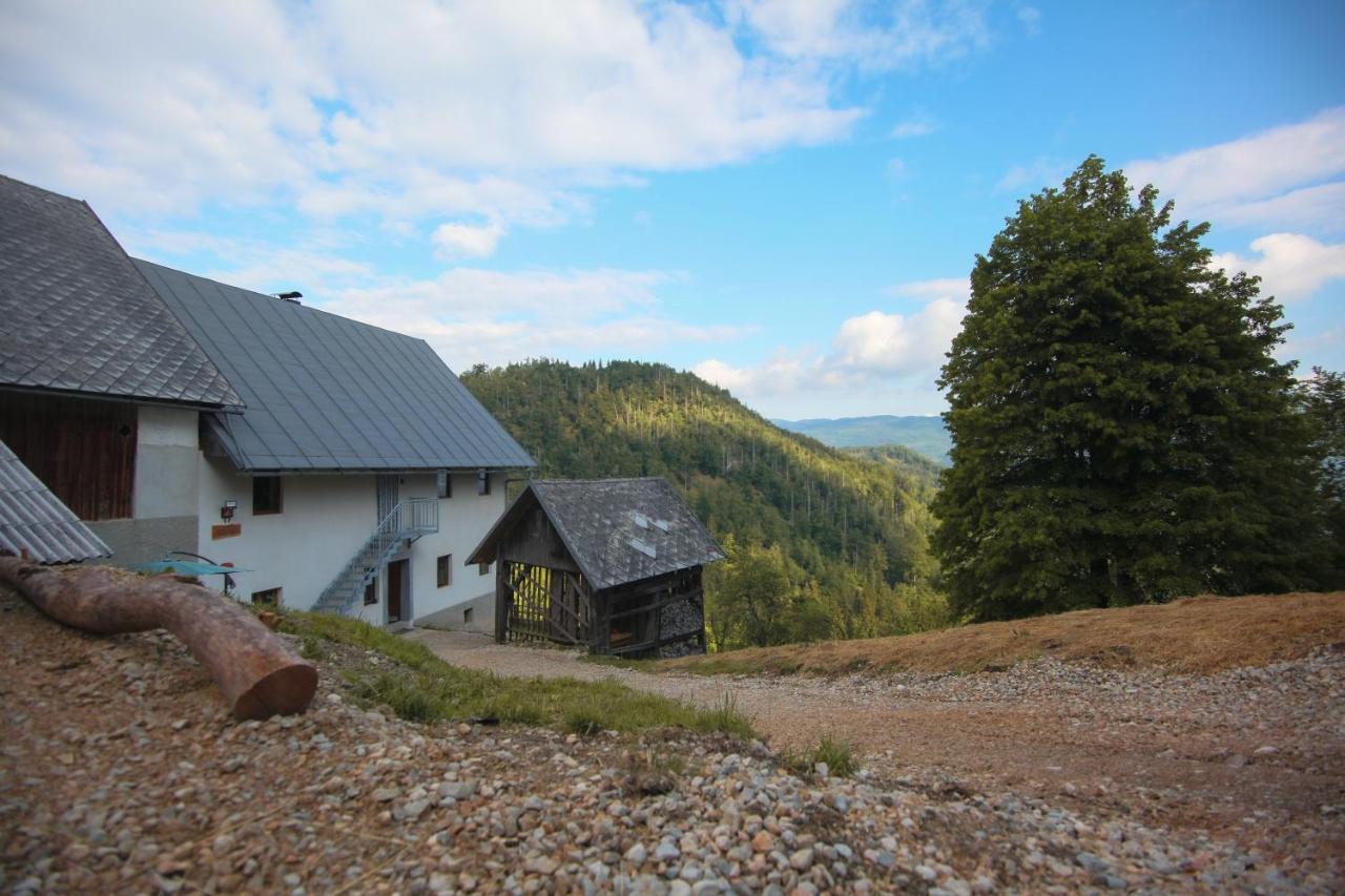 Apartma Gorski Razgled Srednja Vas v Bohinju Exterior photo