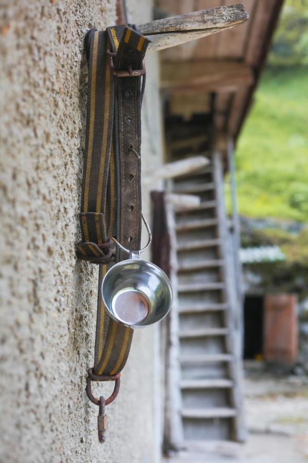 Apartma Gorski Razgled Srednja Vas v Bohinju Exterior photo