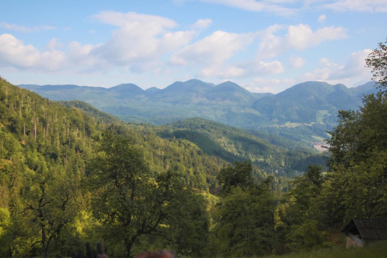 Apartma Gorski Razgled Srednja Vas v Bohinju Exterior photo